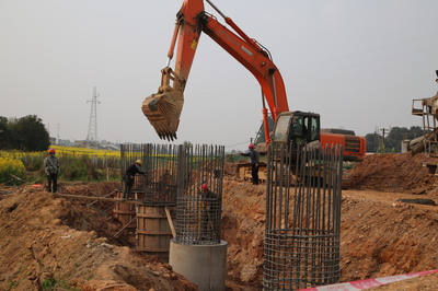 東坡區成立保障專組，為項目建設“滿血復活”注入強勁動力